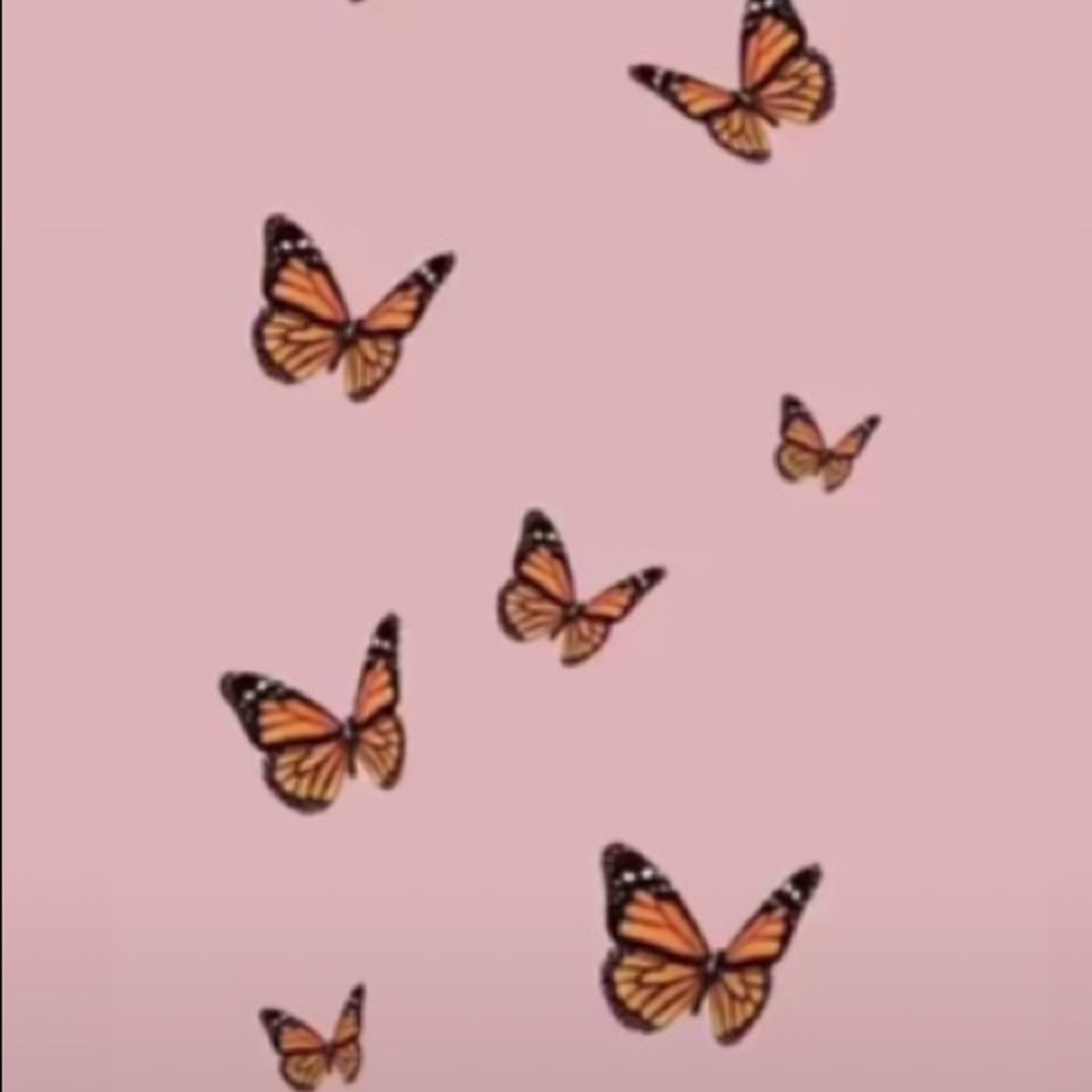 Meet your Posher, Chloe